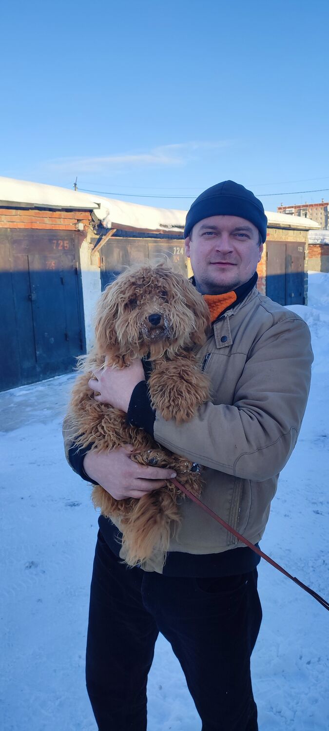 ���������� �����, ���� ������� �����, 35 ���, ������������ ��� ����� � ���������, c�������� ���������