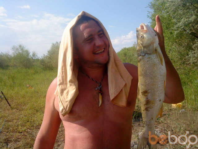 ���������� ������, ���� ������� ANDREINO, 43 ����, ������������ ��� ����� � ���������, c�������� ���������