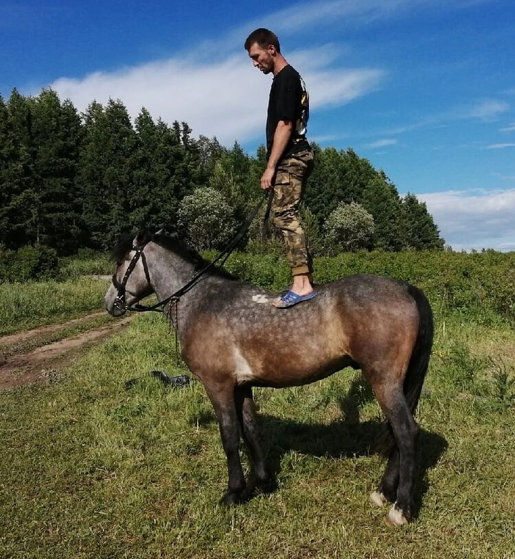 49141439  Sergey, 32 ,    