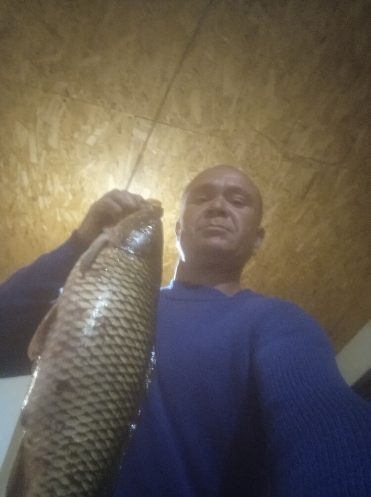 ���� 28874069 ������� �������, 38 ���, ���� ���������� � ���������� ������