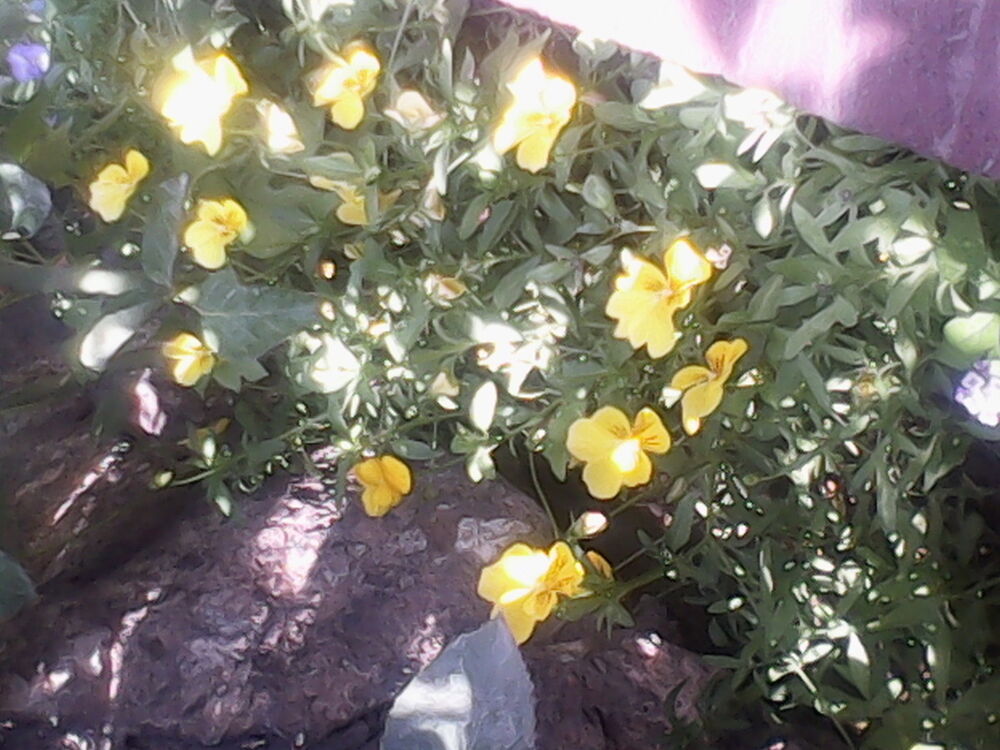 ���� 6492479 ������� Karen, 40 ���, ���� ���������� � �������