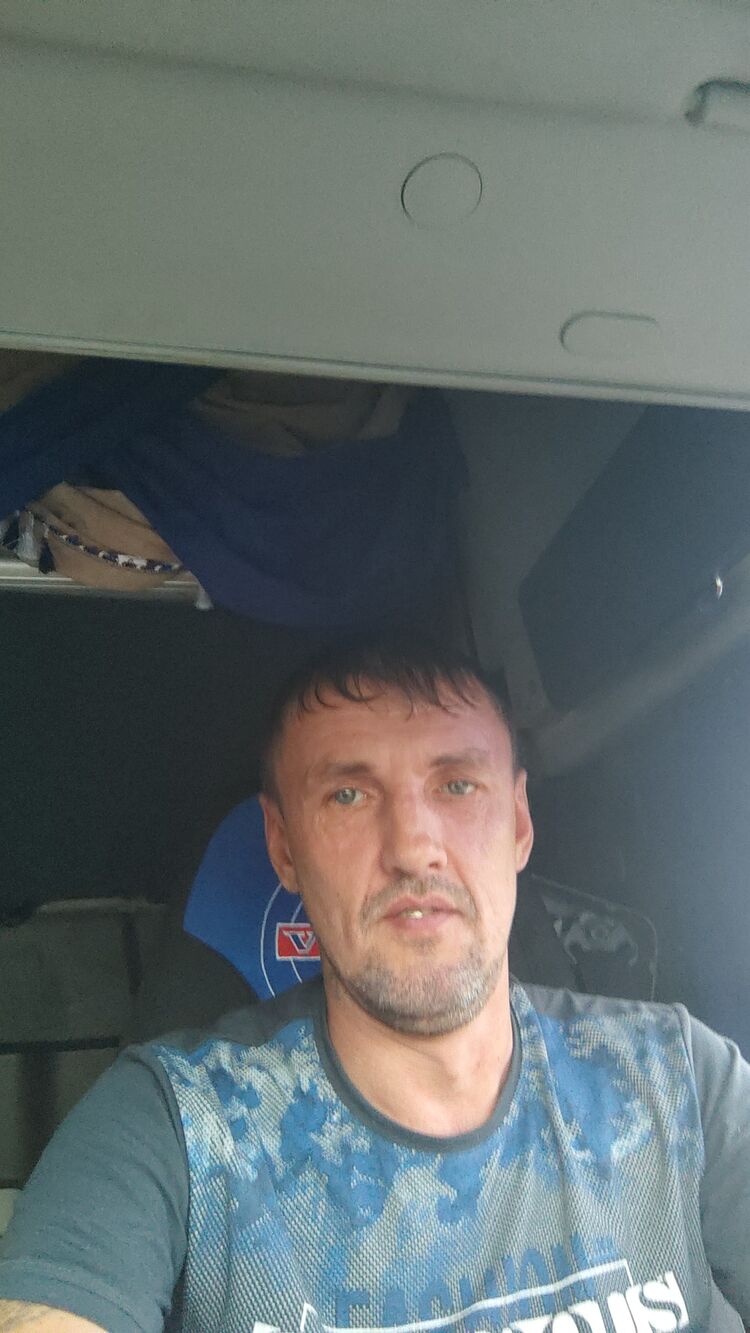  28151599  , 43 ,    