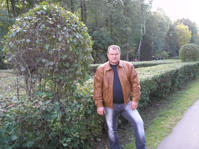 ���� 17294799 ������� ����, 56 ���, ���� ���������� � ������