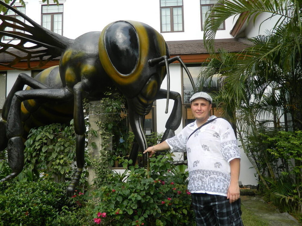 ���� 25024389 ������� �����, 45 ���, ���� ���������� � �������