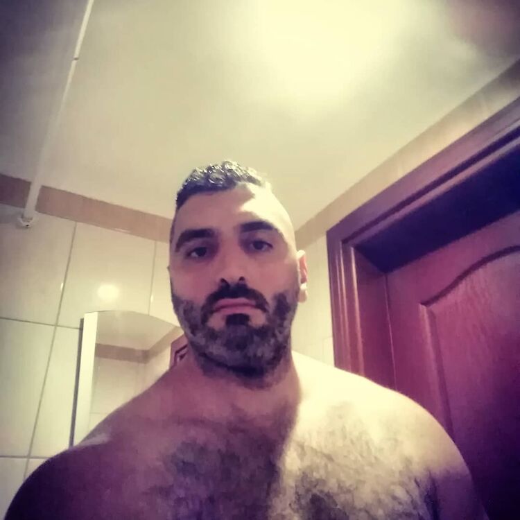  17646829  Zafer, 40 ,    