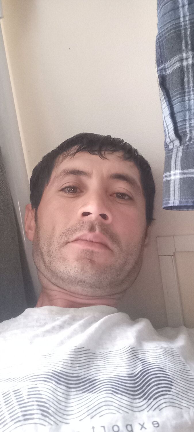  44620619  , 34 ,    