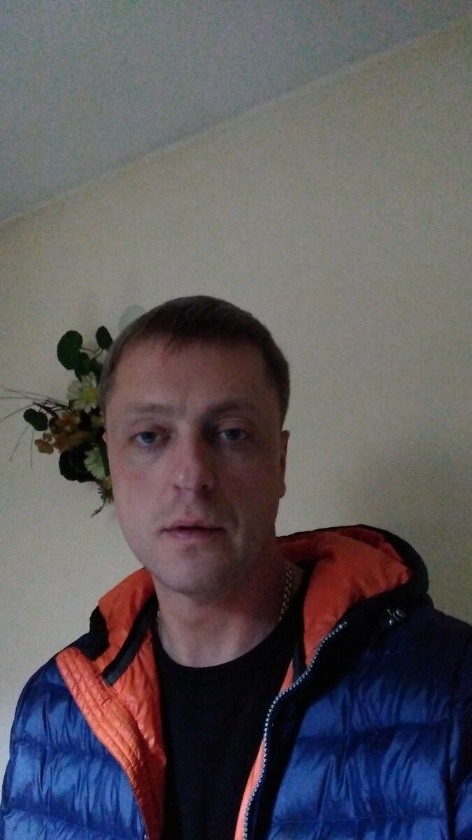  ,   Vetalmen, 44 ,   ,   , c 