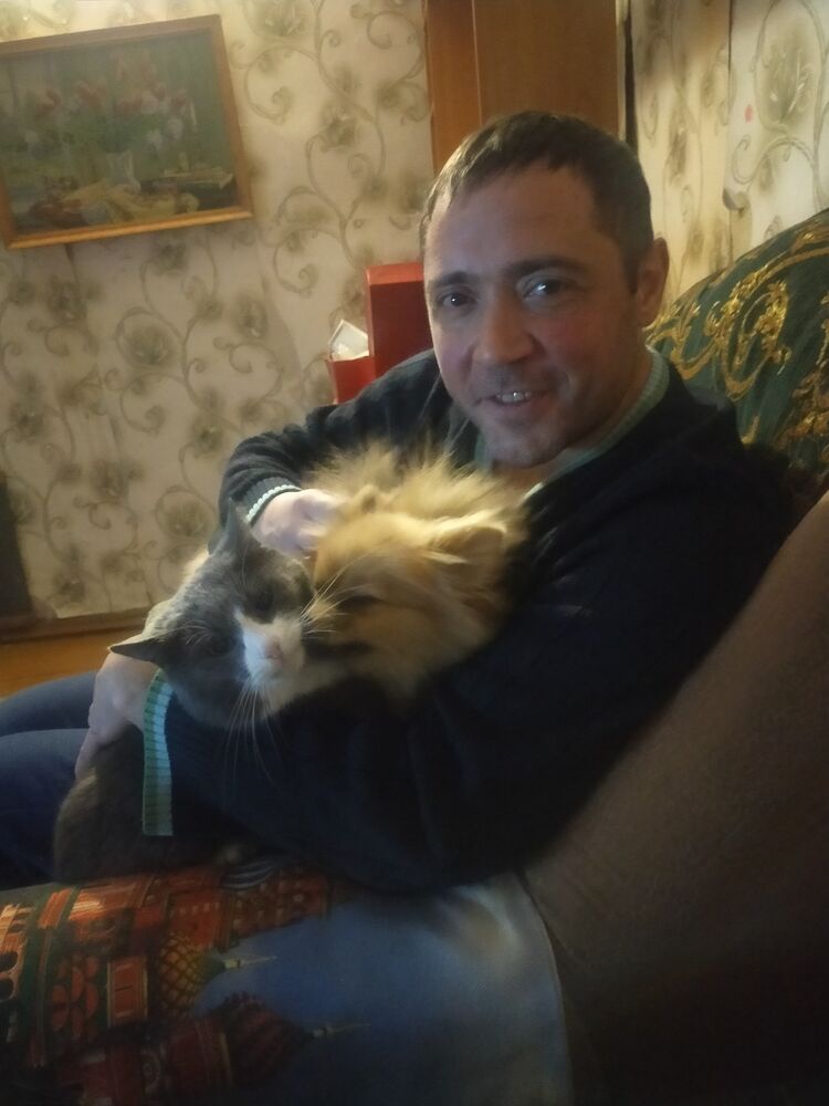 ���� 33078199 ������� ����, 43 ����, ���� ���������� � �������