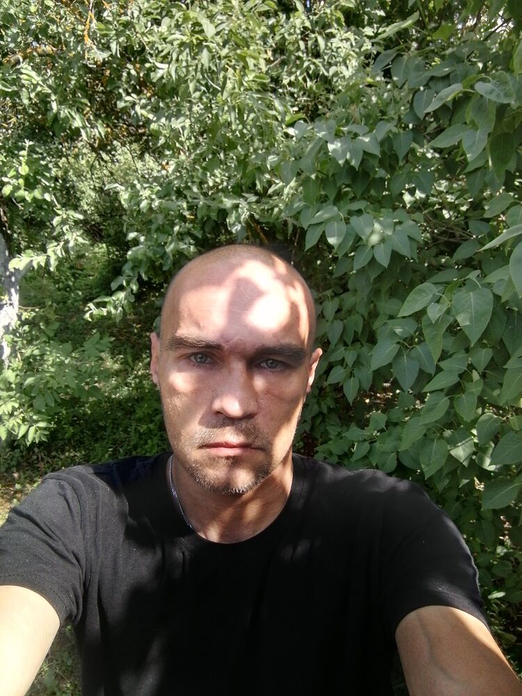  44369309  , 44 ,    