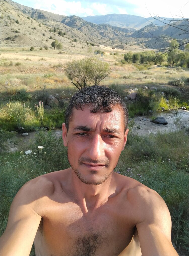  45891019  , 37 ,    