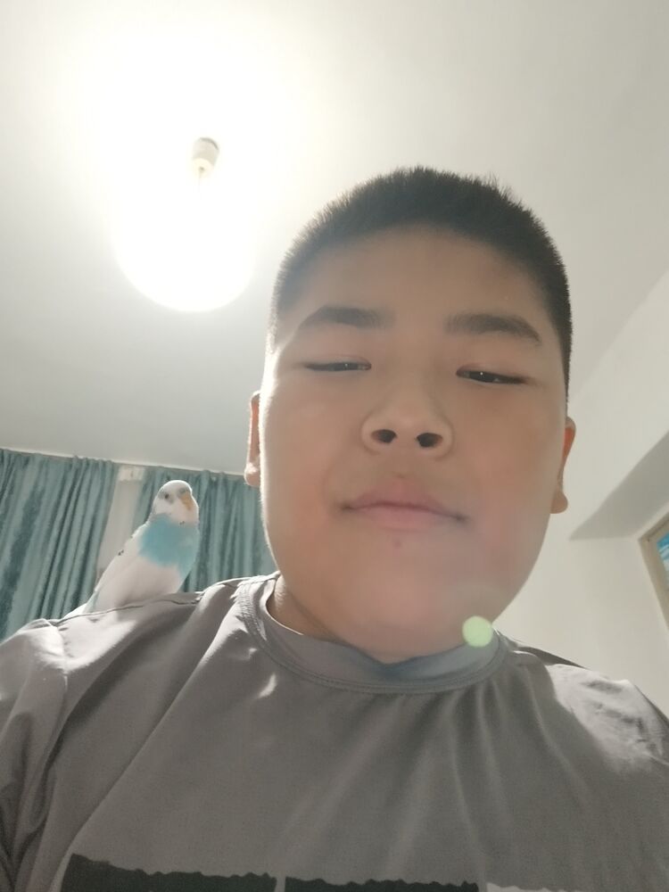  54610369  ApceH, 20 ,    