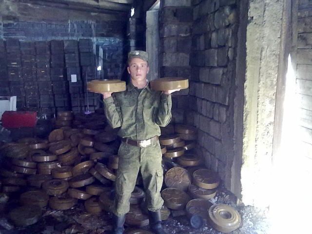 ���� 8746599 ������� �����, 33 ����, ���� ���������� � ����������