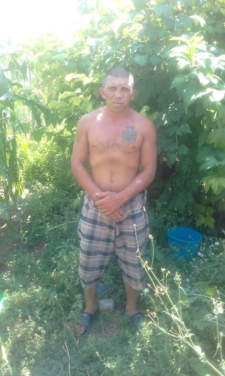  9965979  , 43 ,    
