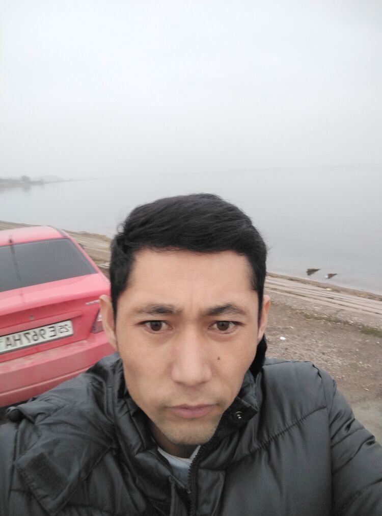  50165879  , 31 ,    