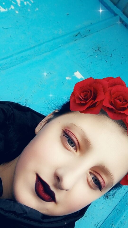  43564899  , 19 ,    