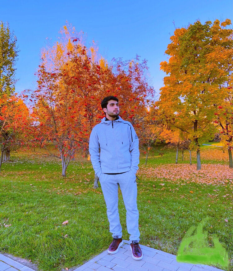  29088019  , 33 ,    