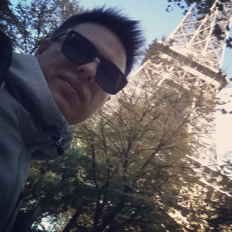 ���� 11150179 ������� Alexpups, 37 ���, ���� ���������� � ������