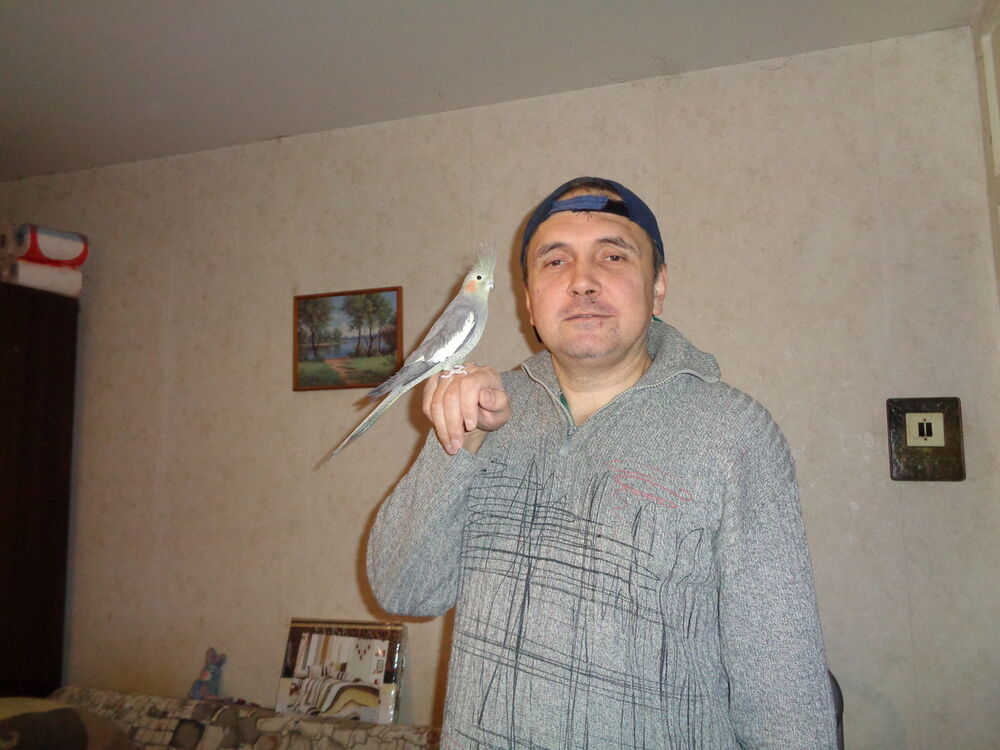  ,   , 52 ,   ,   , c 
