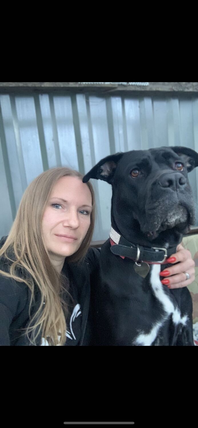 ���� 56220059 ������� ����, 45 ���, ���� ���������� � ������