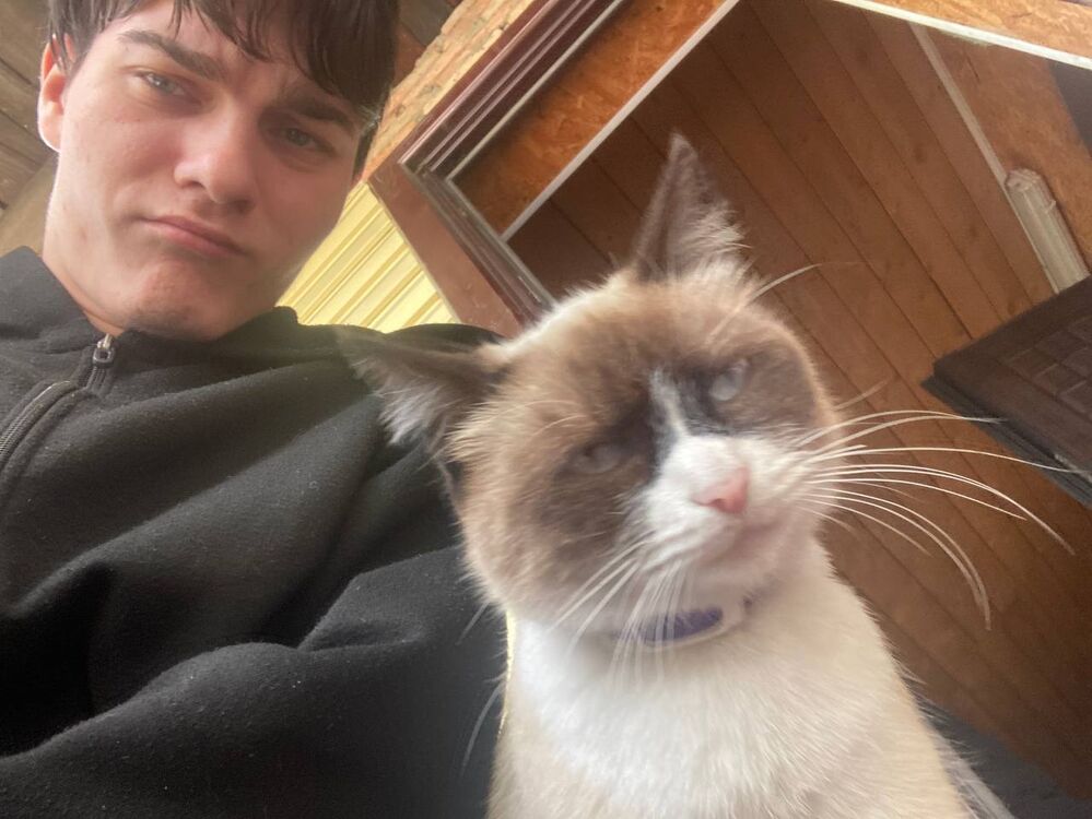 ���� 53860859 ����� �������, 20 ���, ���� ���������� � ��������