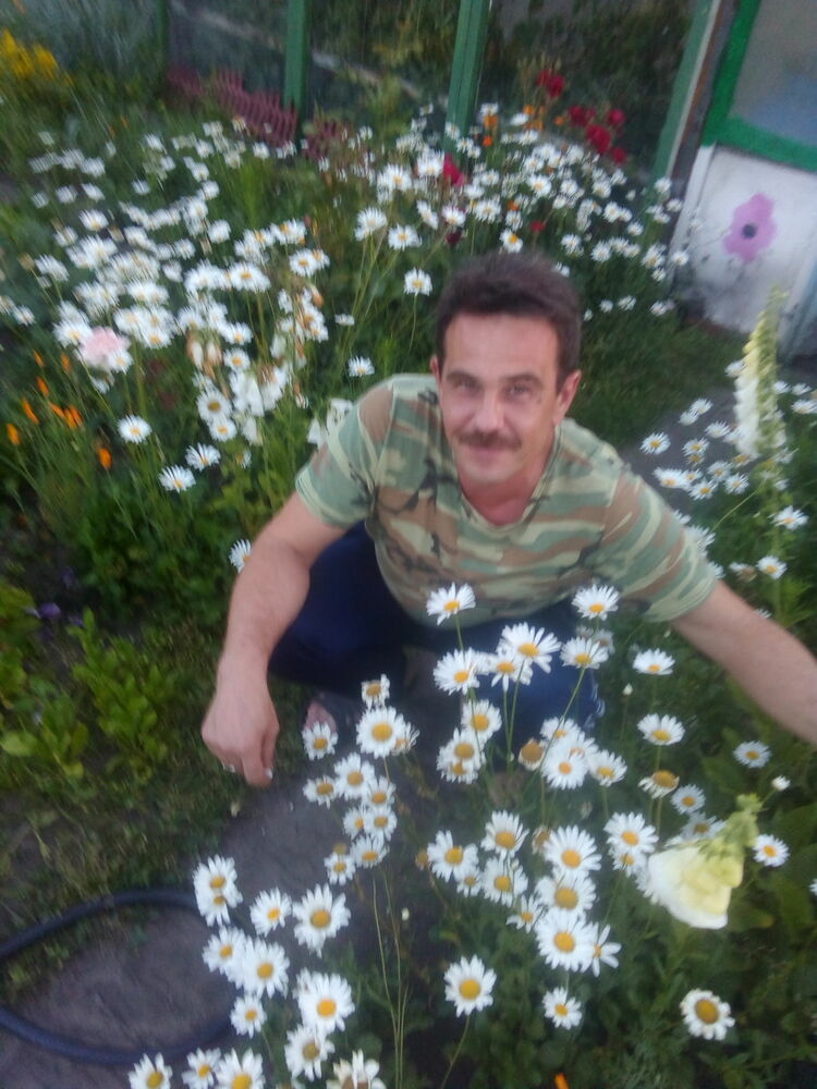   ,   , 52 ,   