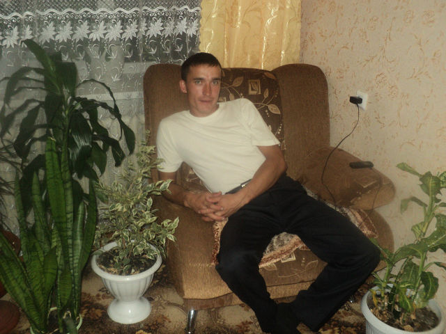  -,   , 41 ,   , 