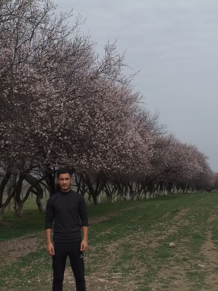  ,   Zokirbek, 31 ,   ,   , c 