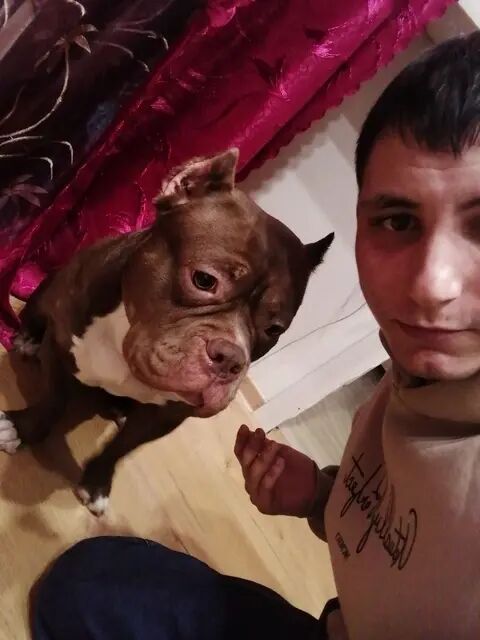  50282889  Eduard, 28 ,    