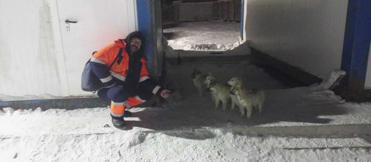 ���� 53858639 ������� �����, 45 ���, ���� ���������� � �������