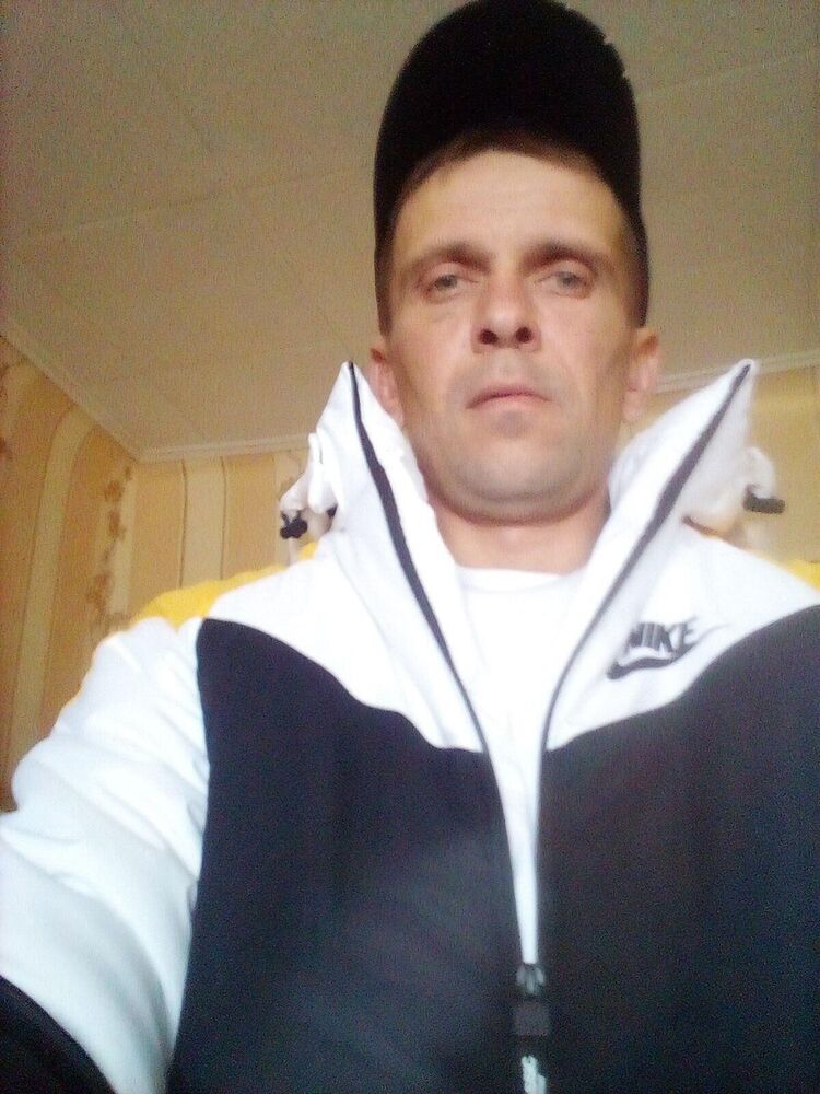  29542849  , 43 ,    