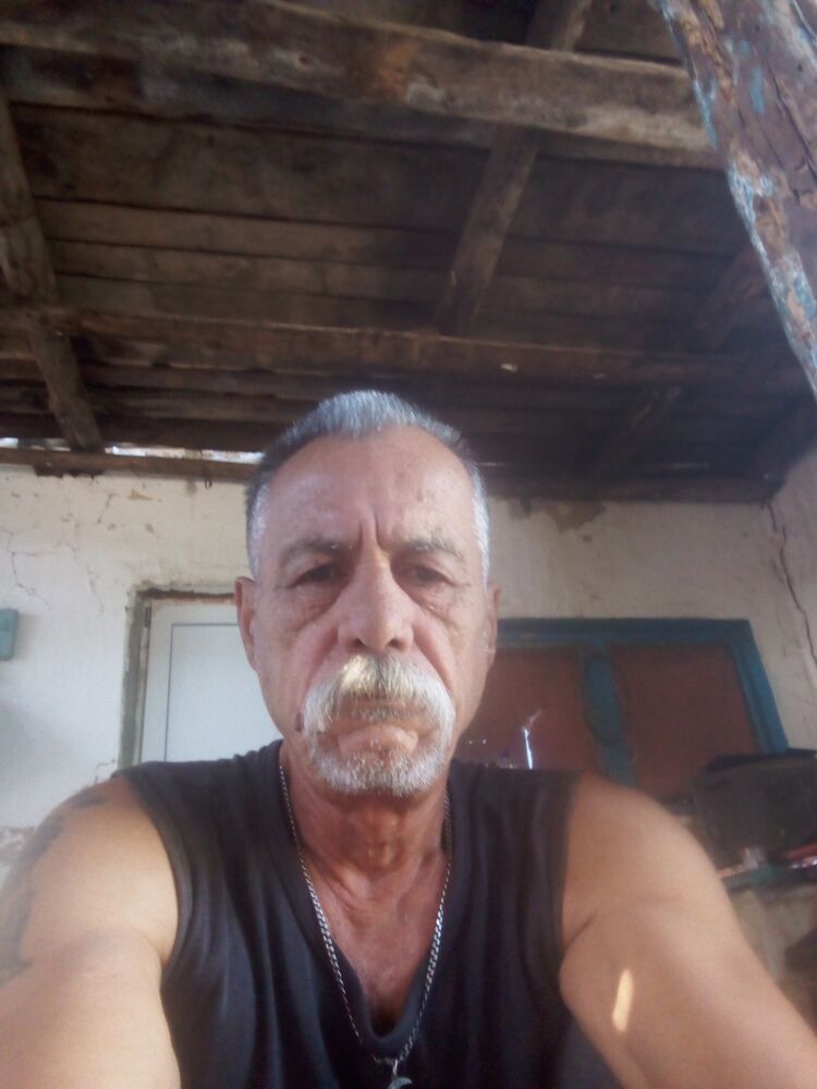  44800489  , 63 ,    