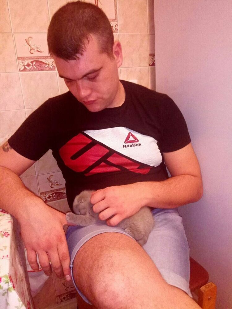  ,   , 34 ,   