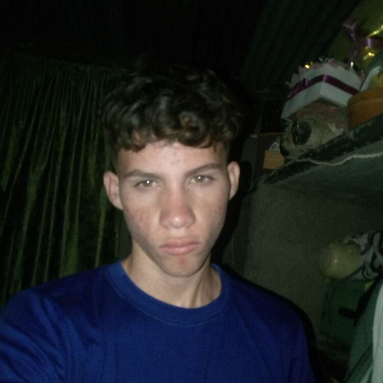  47408509  Aliexer, 19 ,    