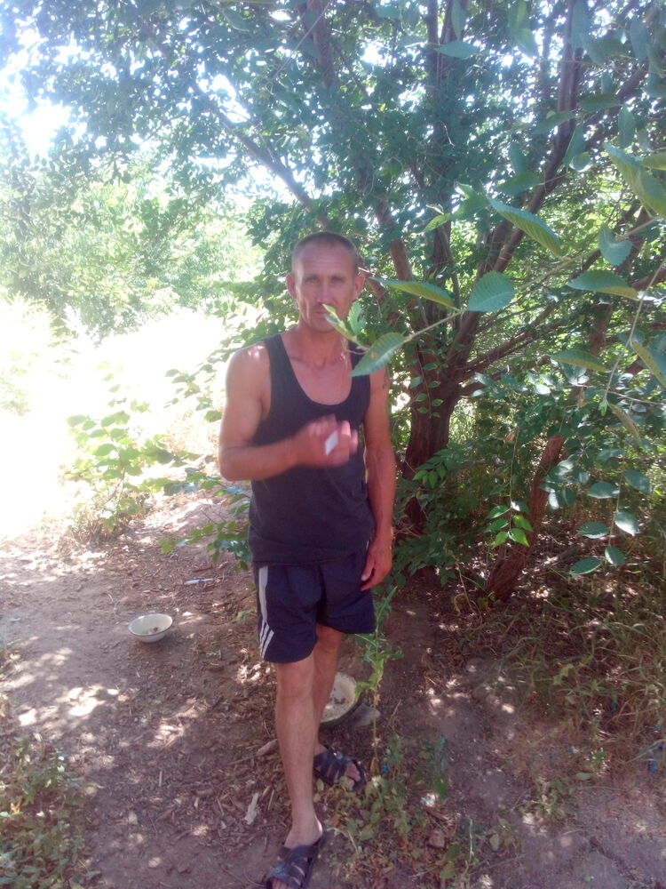 ���� 23380379 ������� ����, 46 ���, ���� ���������� � ����������