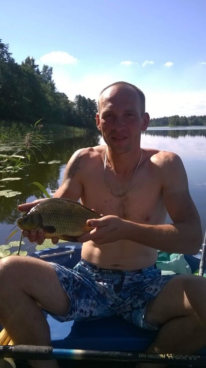 ���� 17280569 ������� �������, 44 ����, ���� ���������� � ������