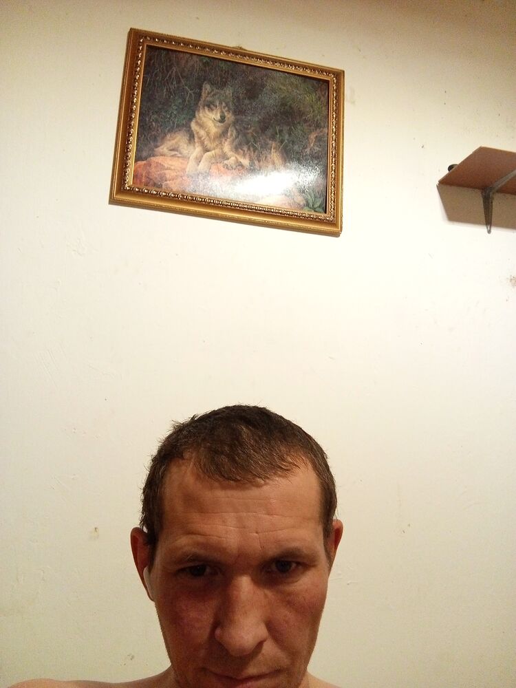  48429799  , 40 ,    