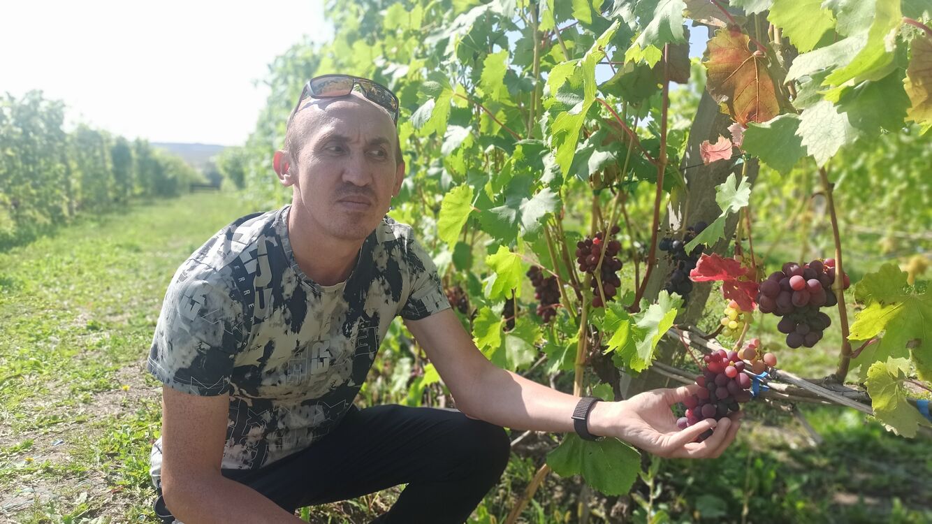 ���������� ������, ���� ������� Azat_TG, 46 ���, ������������ ��� ������, ����� � ���������