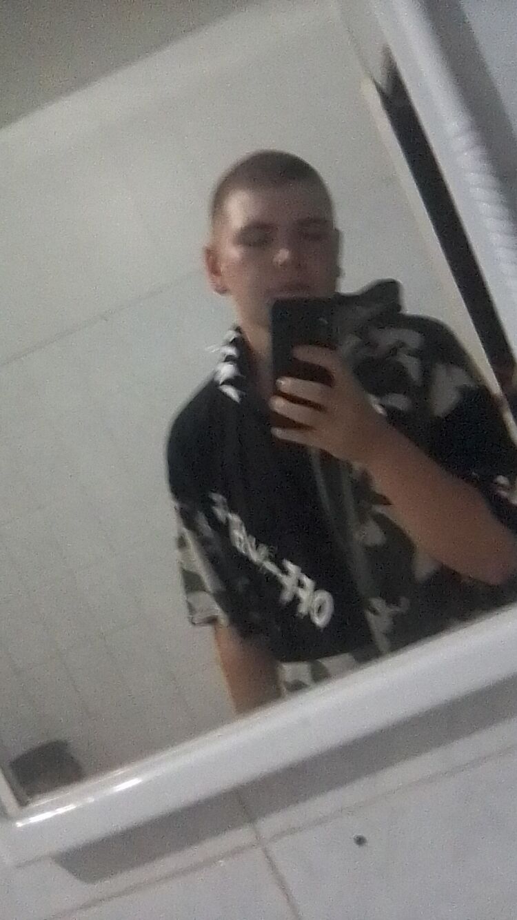  29526979  , 23 ,    
