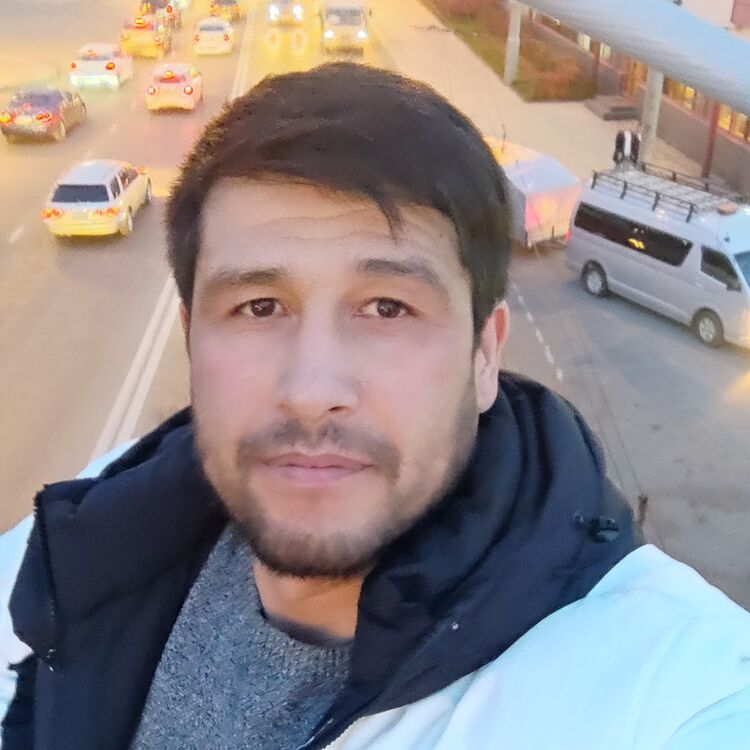 ���� 56016499 ������� �����, 38 ���, ���� ���������� � �����-����������