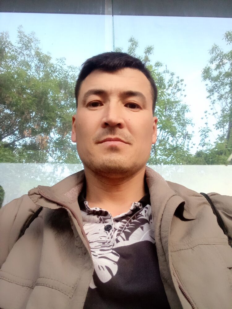  35450619  , 38 ,    