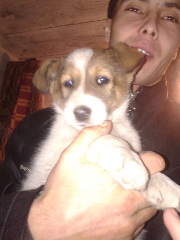 ���� 6242719 ������� ����, 41 ���, ���� ���������� � ����