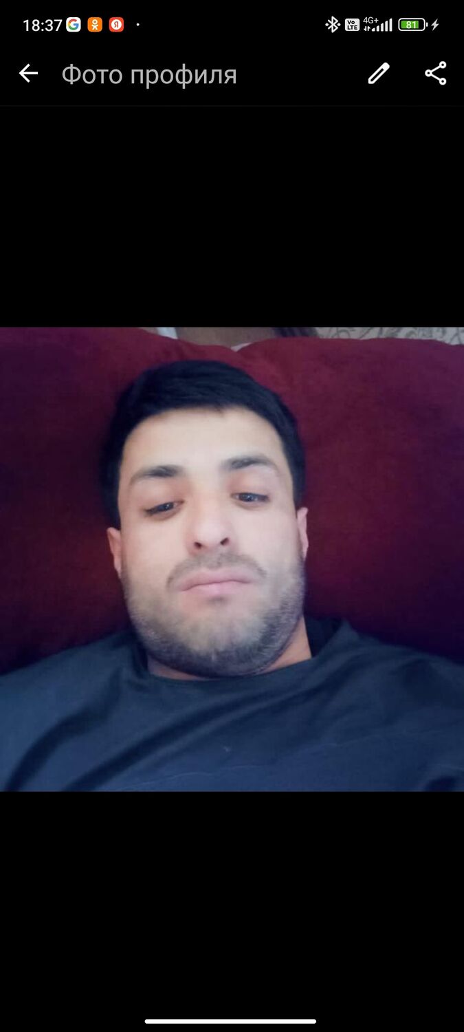 ���� 56244859 ������� ��������, 33 ����, ���� ���������� � ������������