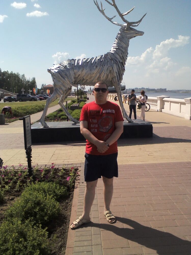 ���� 8390449 ������� ����, 37 ���, ���� ���������� � ����������