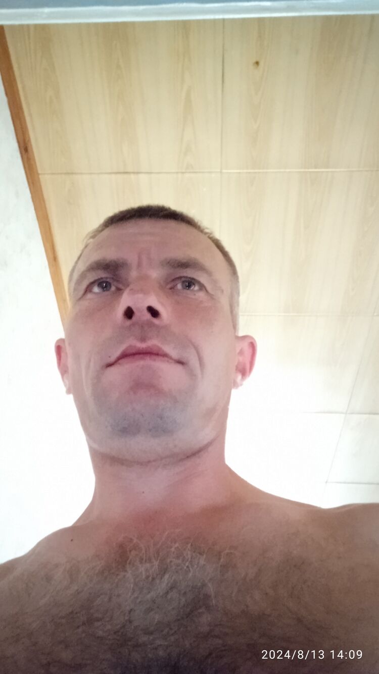  45597149  , 40 ,    
