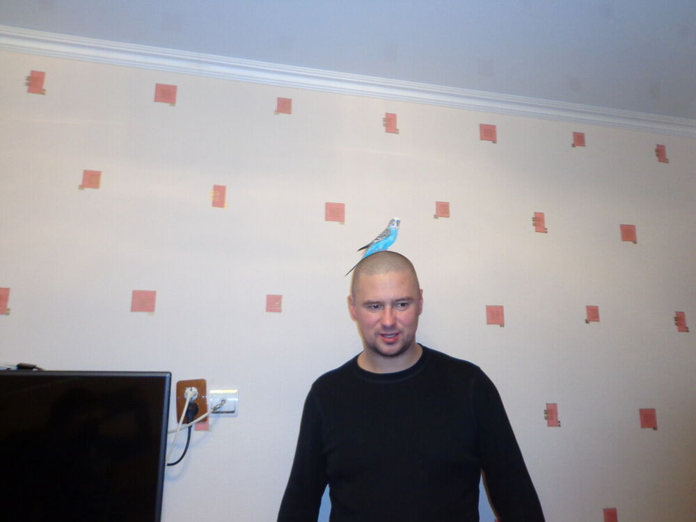 ���������� �����������, ���� ������� �����, 45 ���, ������������ ��� ������, ����� � ���������, c�������� ���������