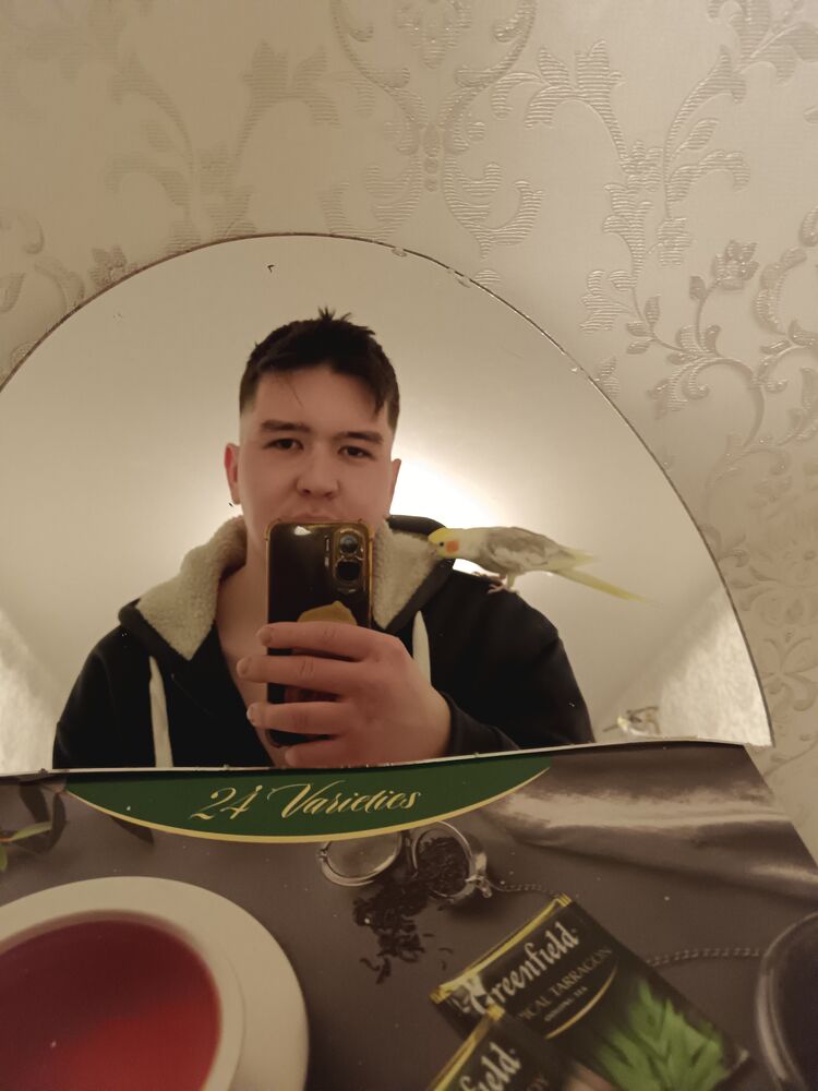 ���� 50551529 ����� ���������, 24 ����, ���� ���������� � ���������� ������