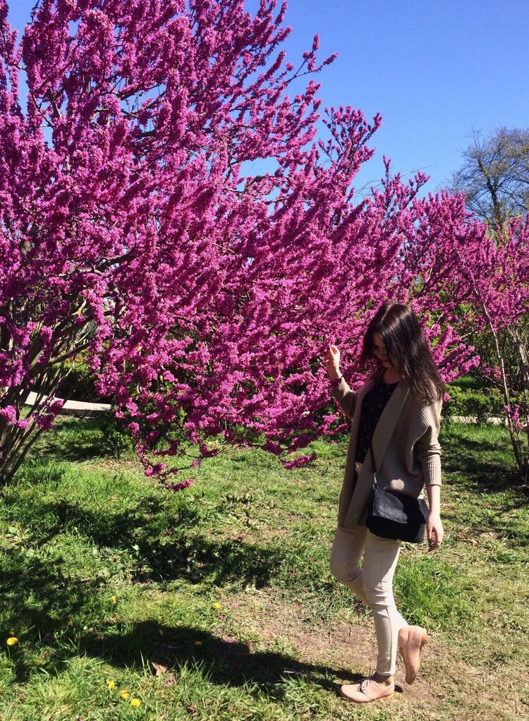 ���������� �����-���������, ���� ������� �����, 25 ���, ������������ ��� ������, ����� � ���������