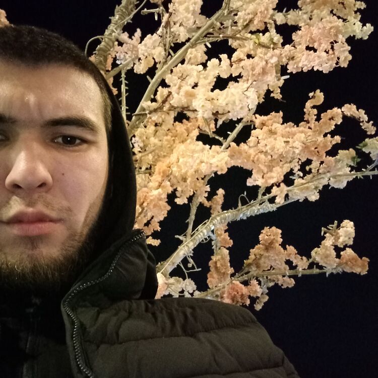  ,   Alexander, 27 ,   ,   , c 