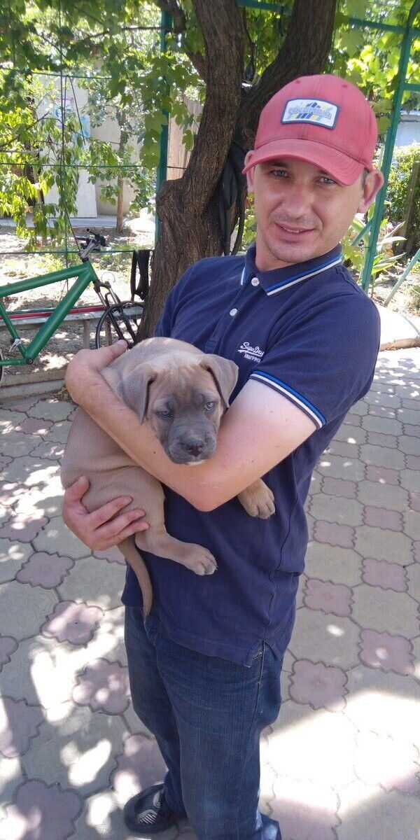 ���� 43709279 ������� ������, 41 ���, ���� ���������� � �����