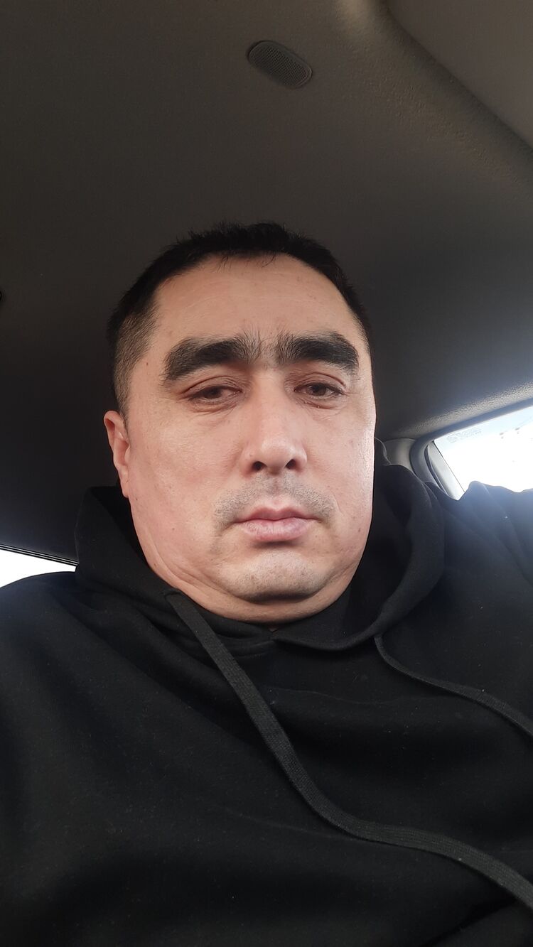  50068329  , 41 ,    